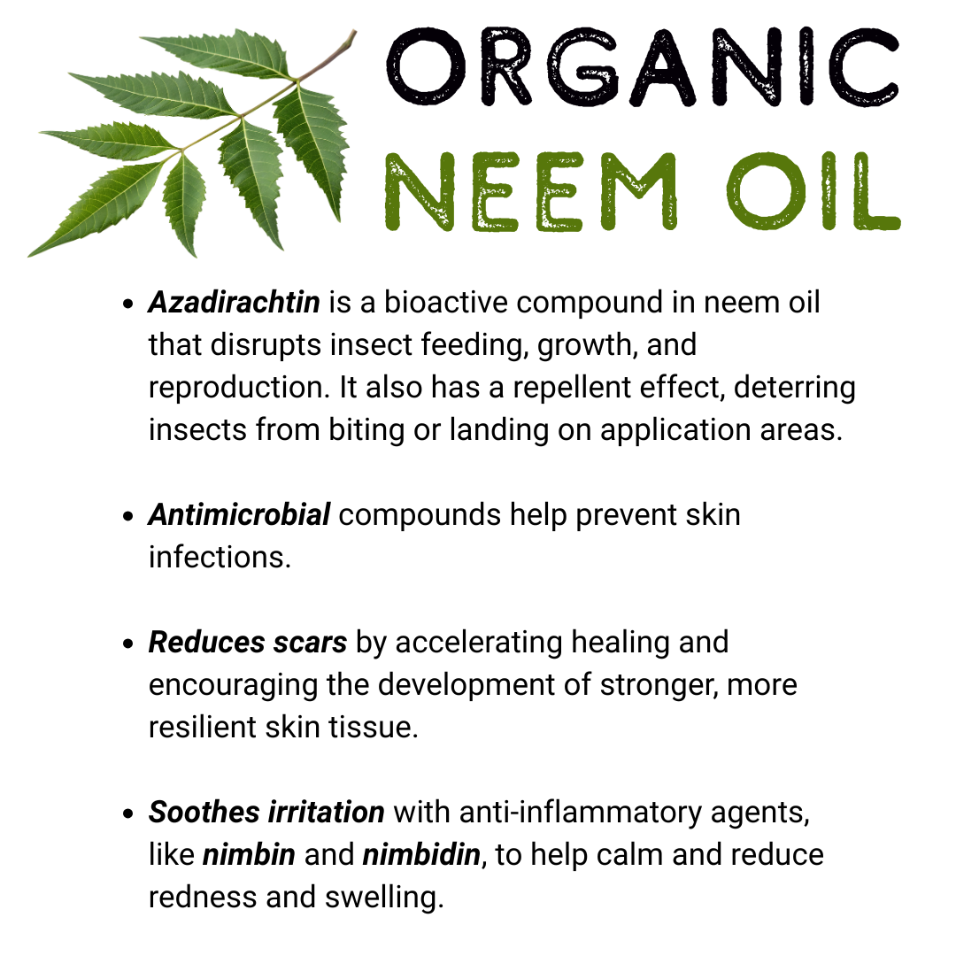 Anti-Itch & Bug Repellent Tallow - Image 4