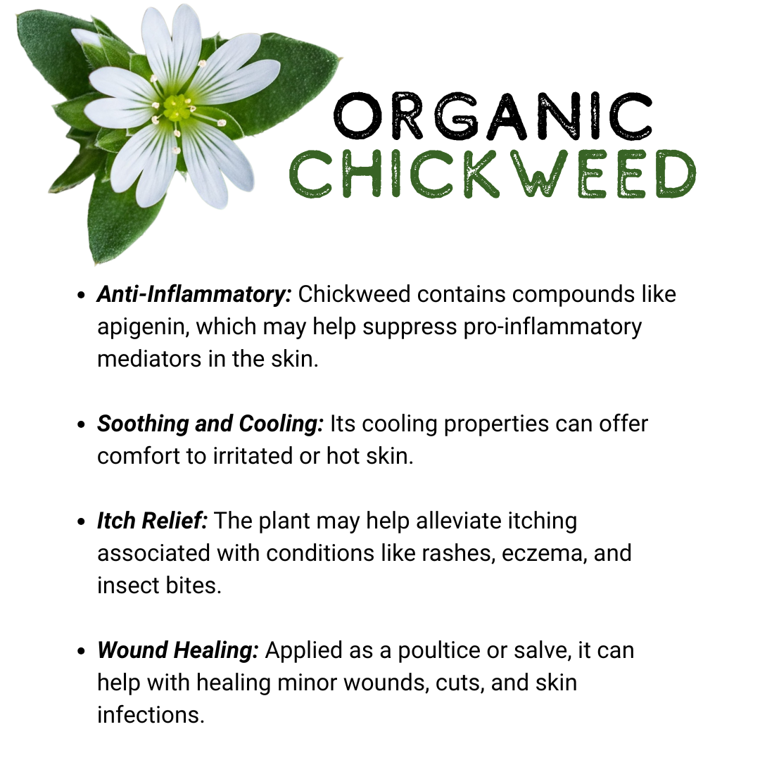 Anti-Itch & Bug Repellent Tallow - Image 5