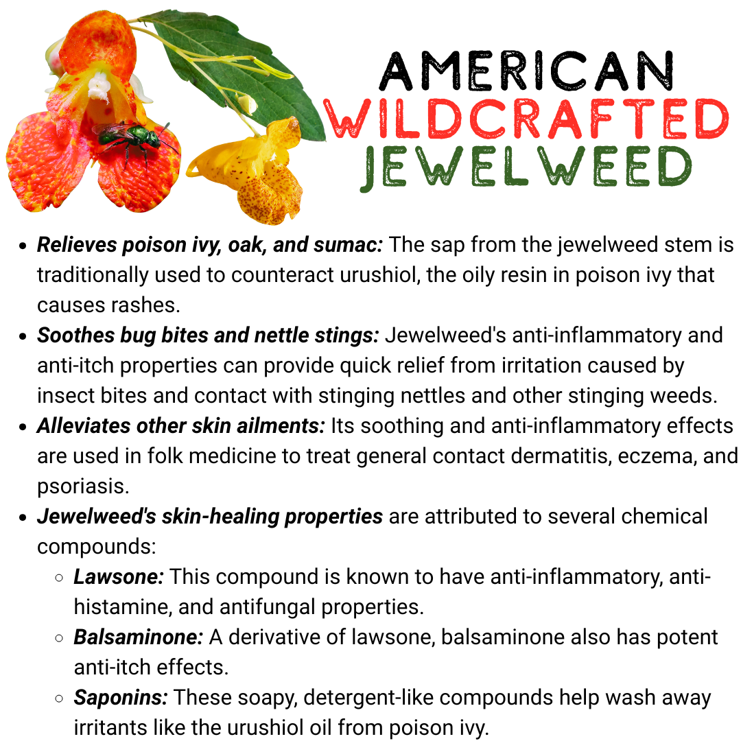 Anti-Itch & Bug Repellent Tallow - Image 3