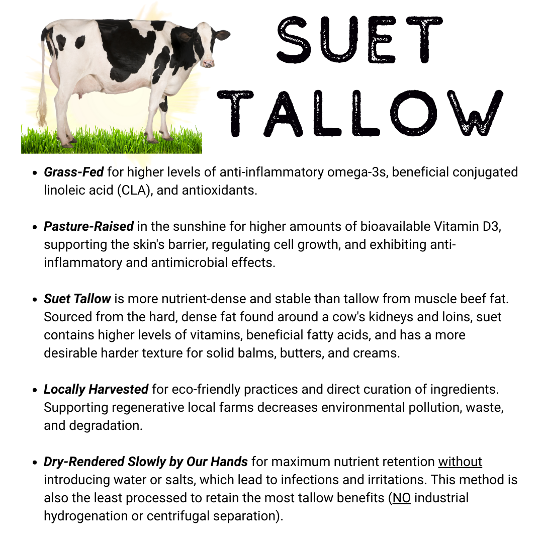 Anti-Itch & Bug Repellent Tallow - Image 2
