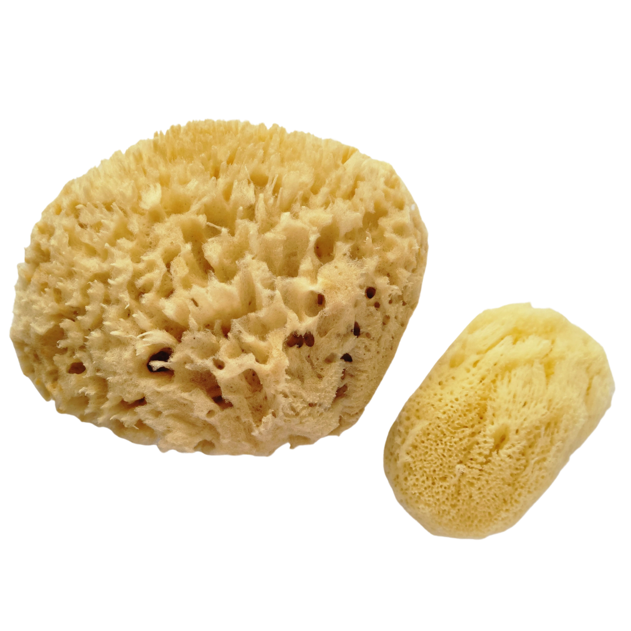 Natural Sponges - Silk & Wool