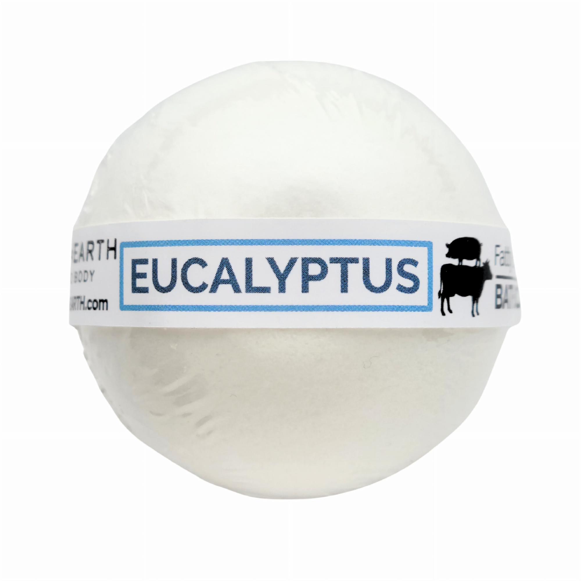 Eucalyptus Mint Bath Bomb PERMA∞EARTH