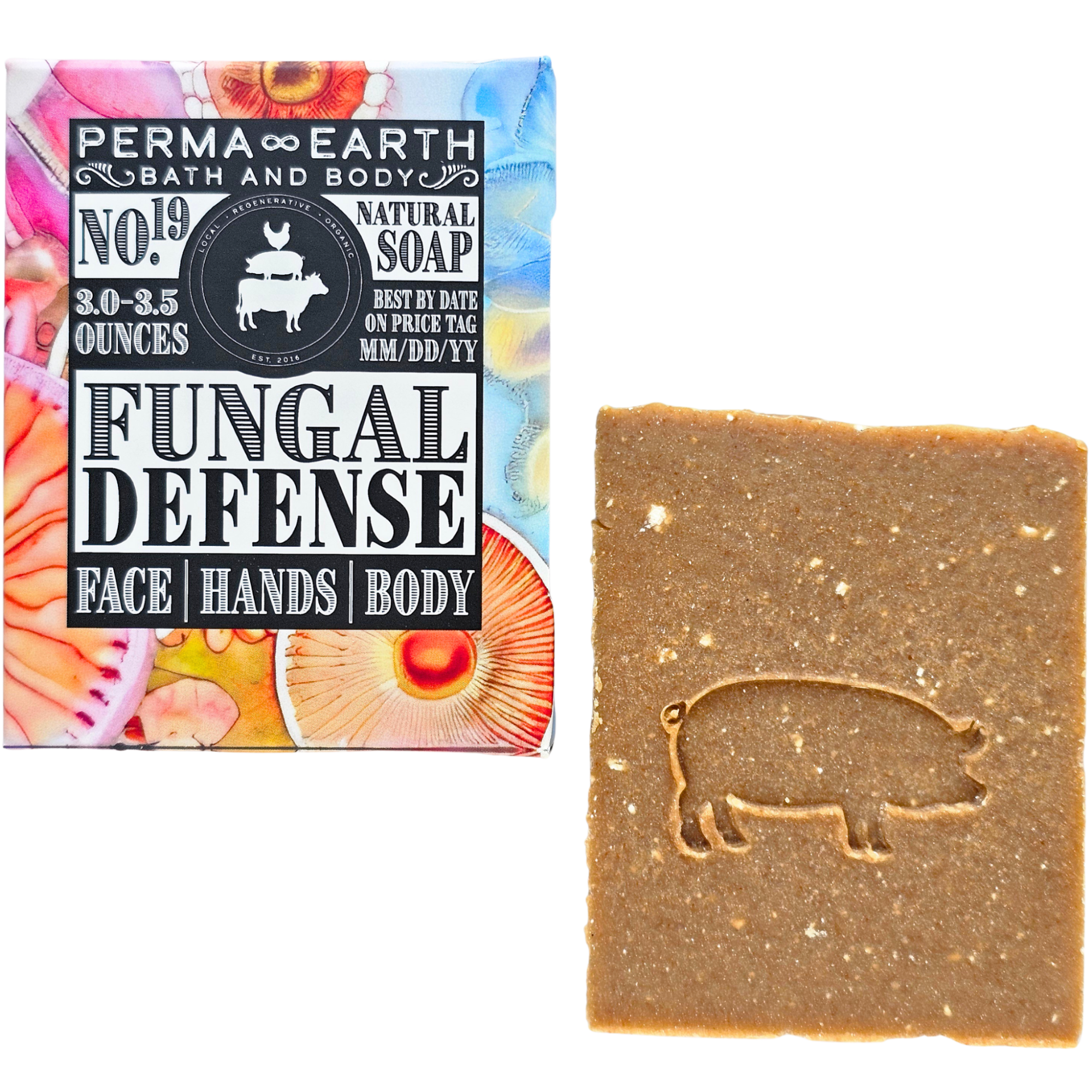 Fungal Defense Soap