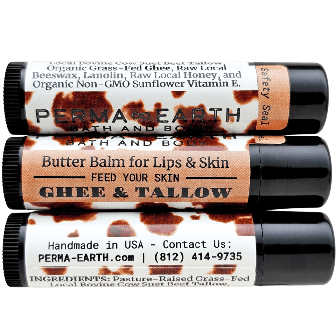 wp-17648780149212627053568622516126