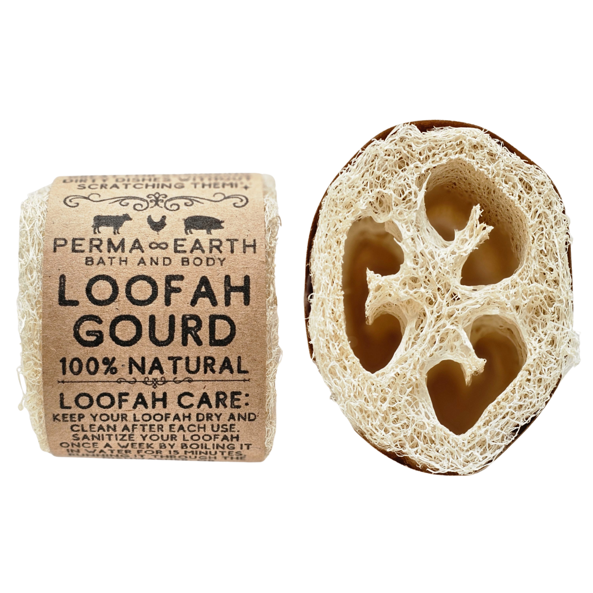 Loofah Gourd SPONGE